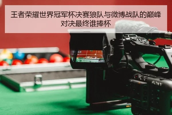 王者荣耀世界冠军杯决赛狼队与微博战队的巅峰对决最终谁捧杯